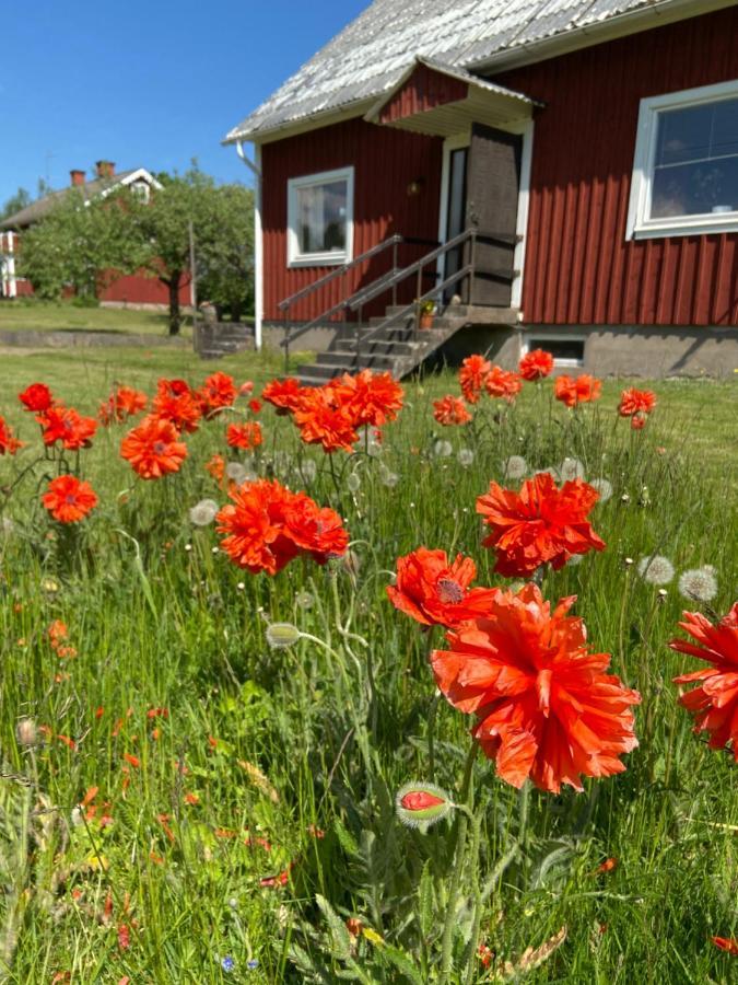 Hus Pa Landet I Sodra KronobergÄlmeboda エクステリア 写真